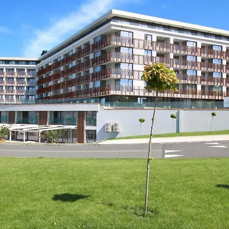 Paradiso 'в' 403 Fancy *